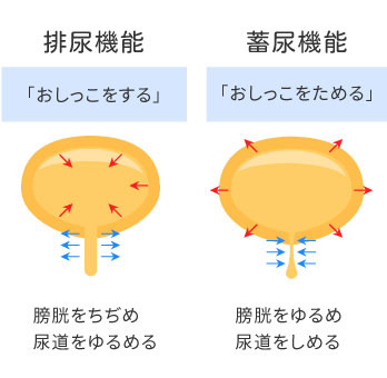 兵庫県神戸市の神経因性膀胱治療｜やまの泌尿器科